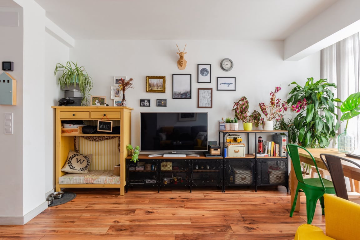 ECOLOR PARQUET